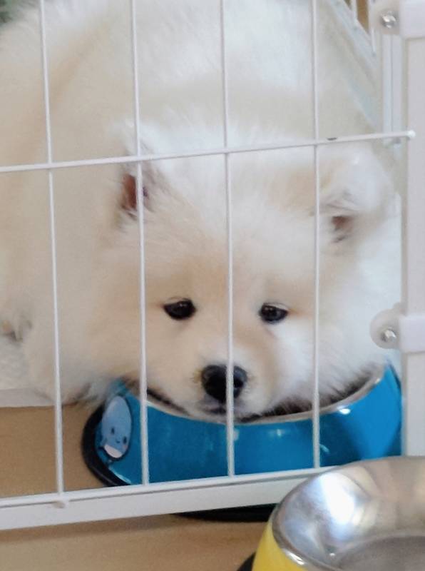 午间小憩